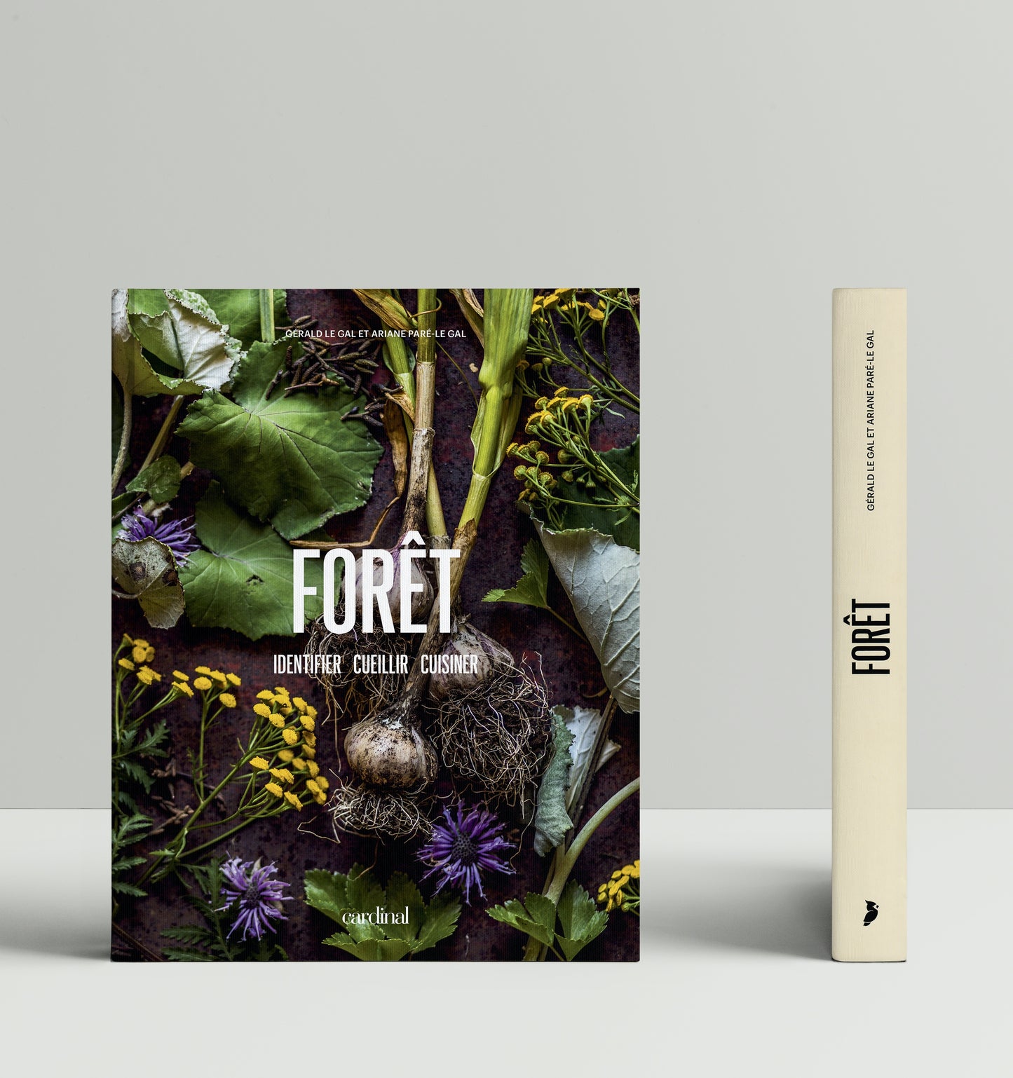 Forêt [LIVRE PAPIER]