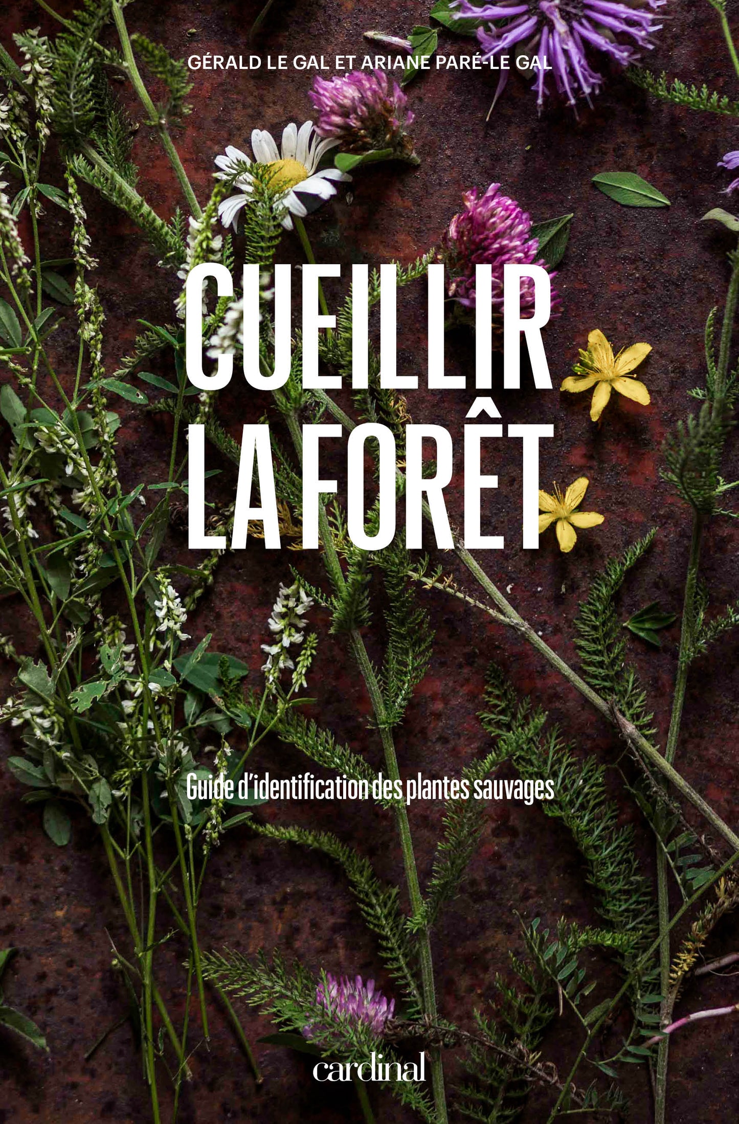 Cueillir la forêt [LIVRE NUMÉRIQUE]