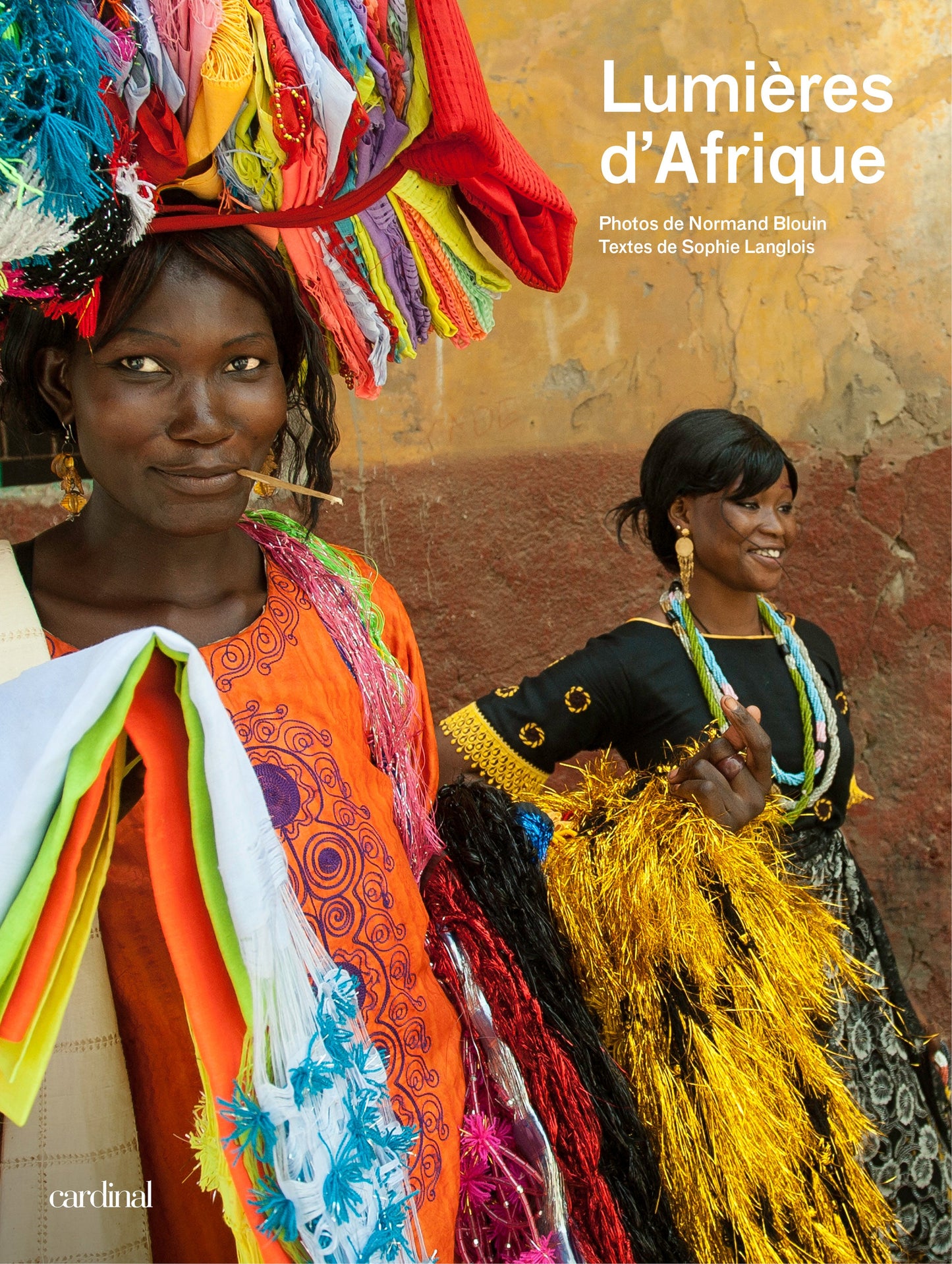 Lumières d'Afrique [LIVRE NUMÉRIQUE]