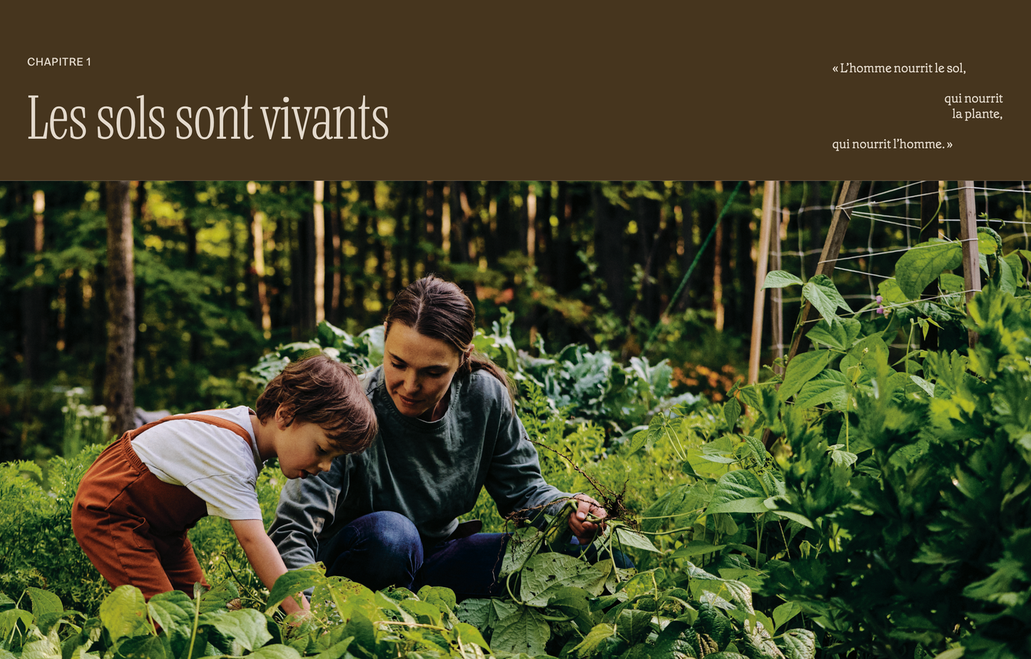 Dans mon jardin — Récoltez enfin l'abondance! [LIVRE NUMÉRIQUE]