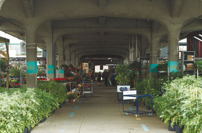 Marché Jean-Talon — Recettes & Portraits [LIVRE NUMÉRIQUE]